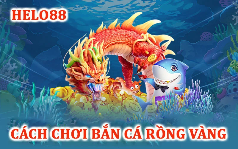 Cách chơi bắn cá rồng vàng Helo88